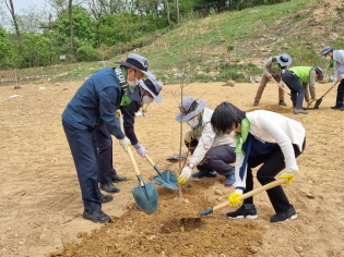 탄소중립 평화의 나무심기 썸네일