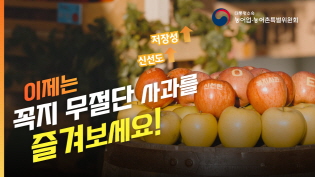 신선도와 저장성을 높였다! '꼭지사과' 맛 좀 보실래요? 이미지
