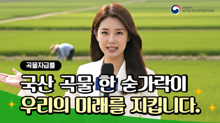 [밥상 위의 진실] 곡물자급률! 국산 곡물 한 숟가락이 우리의 미래를 지킵니다. 이미지