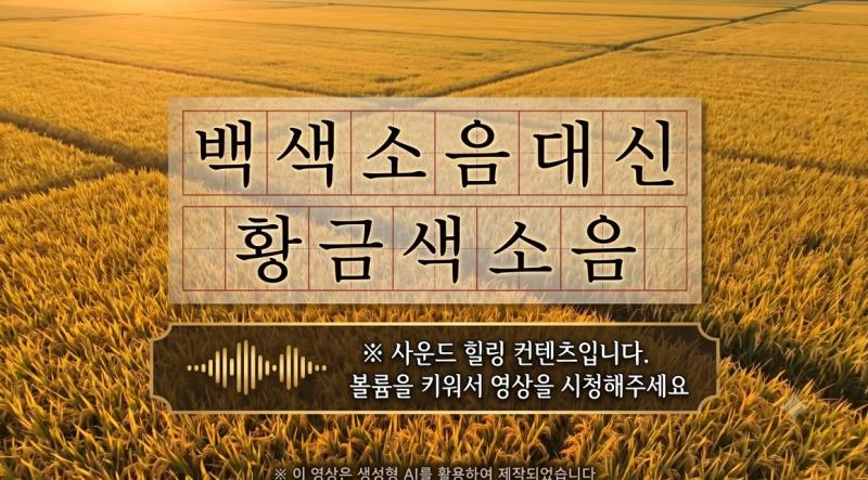 [ASMR]백색소음대신 황금색소음 이미지